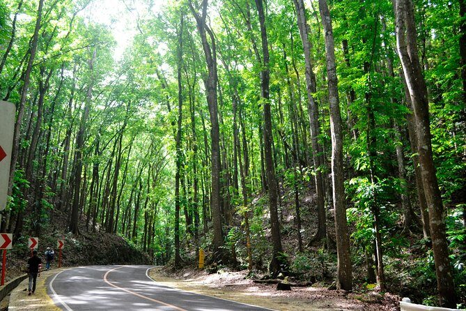 Full-Day Bohol Excursion - depart Cebu (Best Seller) - Chocolate Hills: the 1,268-cone viewing game plan