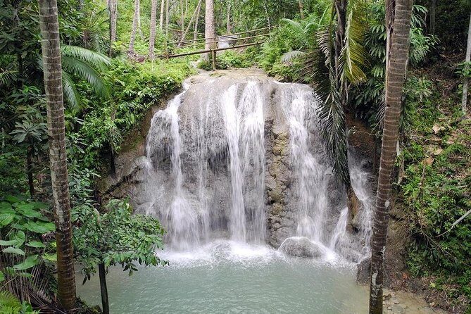 Full-Day Private Siquijor Island Tour - Who This Tour Suits Best