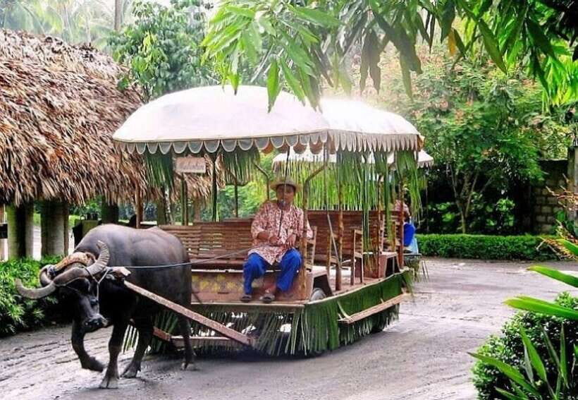 Full Day Tour Villa Escudero Plantation - Key Things I’d Mark on Your Must-Do List