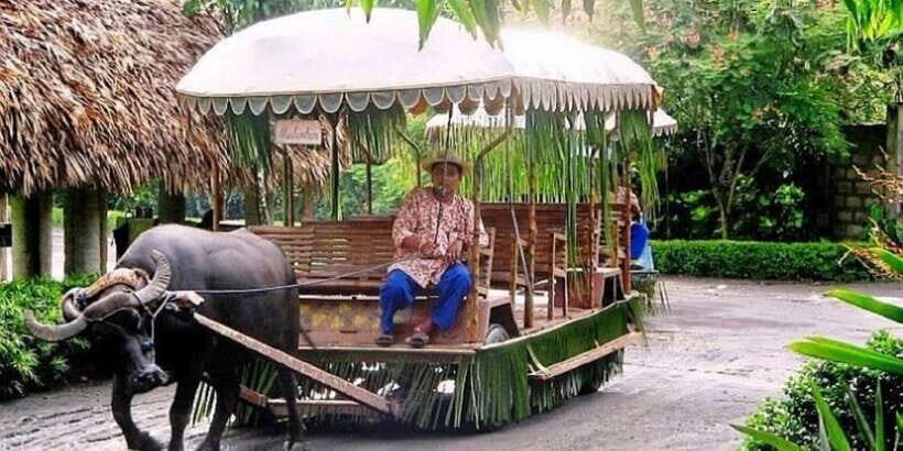 Full Day Tour Villa Escudero Plantation - Lunch Under the Dam: The Meal Designed for Cooling Off