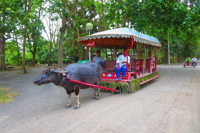 Immerse in Culture: Villa Escudero Coconut Plantation Experience - The Museum Stop That Gives the Day Meaning