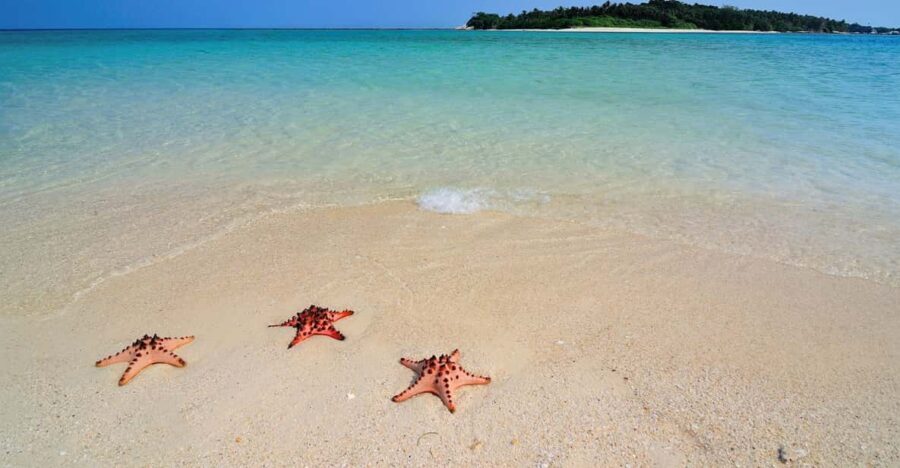 LITTLE BORACAY- CALATAGAN BATANGAS DAY TOUR (FROM MANILA) - Price and value: is $388 for up to 3 a fair deal?