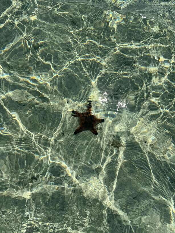 Mactan Island Hopping Gilutungan, Caohagan, Nalusuan + Lunch - Value Check: Is $132 Good Money for This Day?