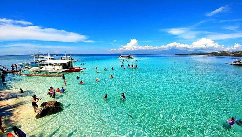 Mactan Island Hopping Gilutungan, Caohagan, Nalusuan + Lunch - Gilutungan Marine Sanctuary: Snorkel First, Ask Questions Early