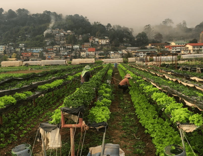 Manila: 3-Day Sagada, Baguio, & Banaue Rice Terraces Tour - Pace, weather, and group timing: where tours can wobble