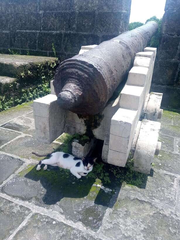 Manila: Intramuros Tour ( Dark) - Key things to know before you go