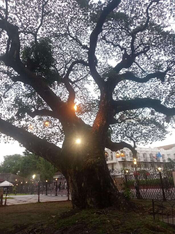 Manila: Intramuros Tour ( Dark) - Fort Santiago at the start: what the Dark theme really means