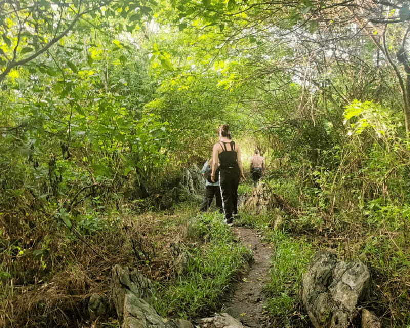 Manila: Mt. Kulis, Tanay, Rizal Hike and Scenic Adventure - Summit time: sea of clouds, color sunrise, and the Sierra Madre sweep