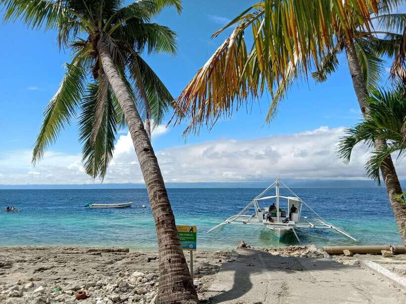 Moalboal Sardine Run, Sea Turtle & Mantayupan Falls - Mantayupan Falls at 98 meters: quick, cool, and scenic