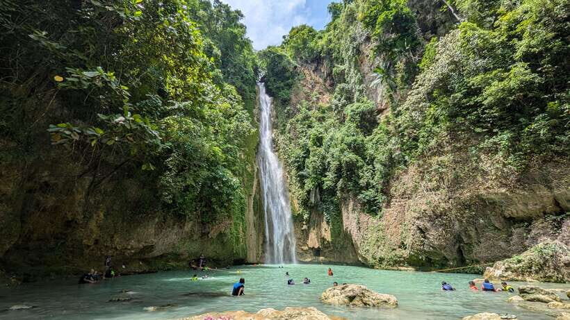 Moalboal Sardine Run, Sea Turtle & Mantayupan Falls - Moalboal snorkeling: sea turtles and sardines close to where you enter