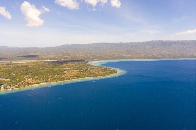Moalboal Sardines Run Private Tour w/ Transfers Option - Who this tour fits best (and who might want something else)