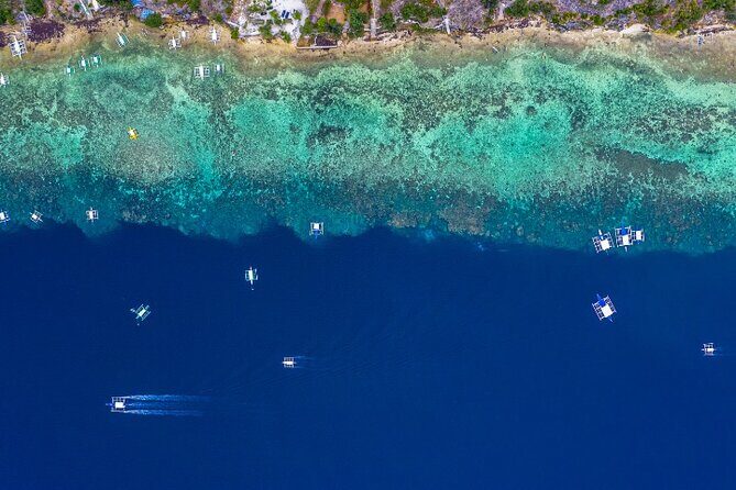 Moalboal Sardines Run Private Tour w/ Transfers Option - Booking checklist: a few things I’d do before you show up