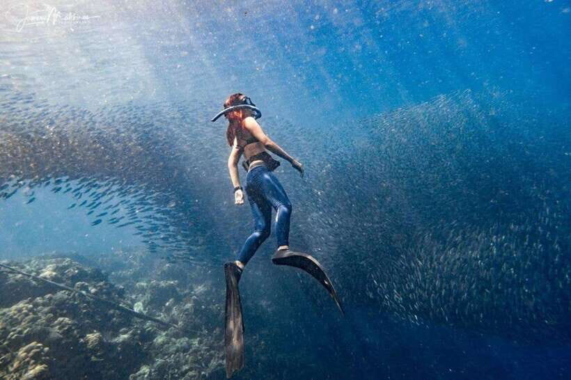 Moalboal: Scuba Diving and Pescador Island Hopping - The 1-Day Schedule: Hotel Pickup to Two Underwater Sessions