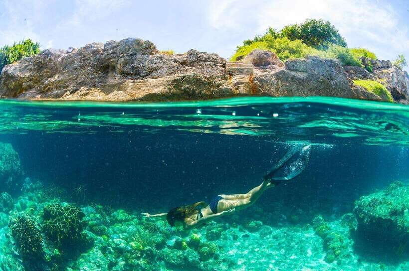 Moalboal: Scuba Diving and Pescador Island Hopping - Who Should Book This Moalboal Day, and Who Should Skip It