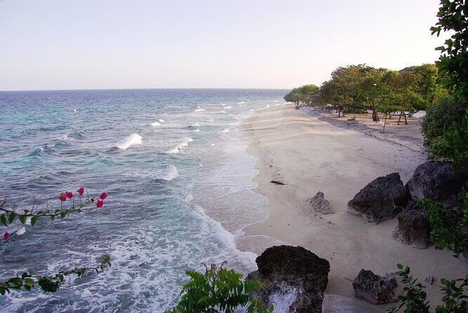 Oslob Whale Shark Private Tour with Sumilon & Tumalog Falls - Key Things to Know Before You Go