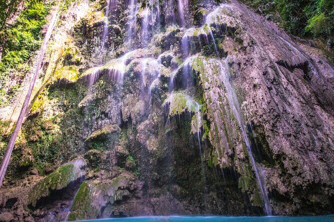 Oslob Whale Shark Private Tour with Sumilon & Tumalog Falls - Best Fit: Who Should Book This Oslob Combo Tour