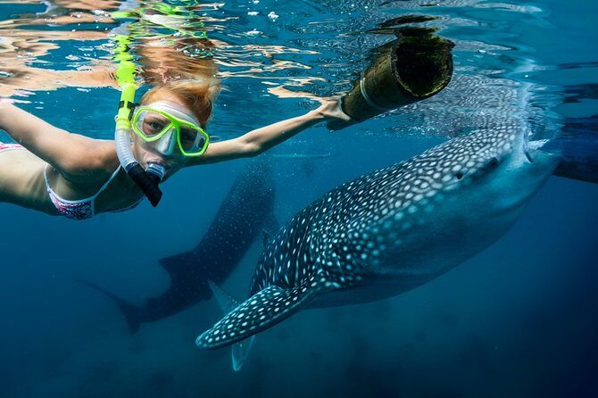 Oslob Whale Shark Snorkeling & Kawasan Canyoning Tour - Key Takeaways Before You Go