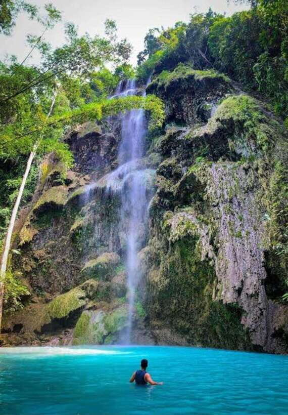 Oslob: Whale shark swimming, Tumalog Falls, Sumilon Sandbar - Whale sharks in Oslob at 7:00 AM: the main event, fast