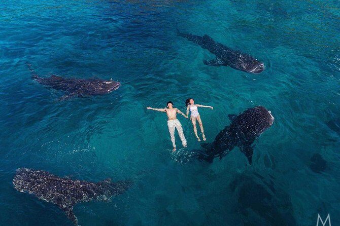 Oslob Whale Shark & Tumalog Falls & Kawasan Falls Canyoneering - Tumalog Falls: a short swim break that resets your energy