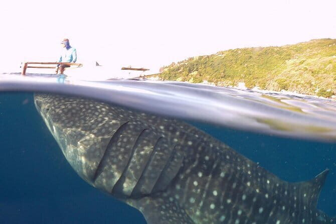 Oslob Whale Shark & Tumalog Waterfalls & Sumilon Sandbar - Sumilon Island and the sandbar contrast: the part you’ll keep thinking about