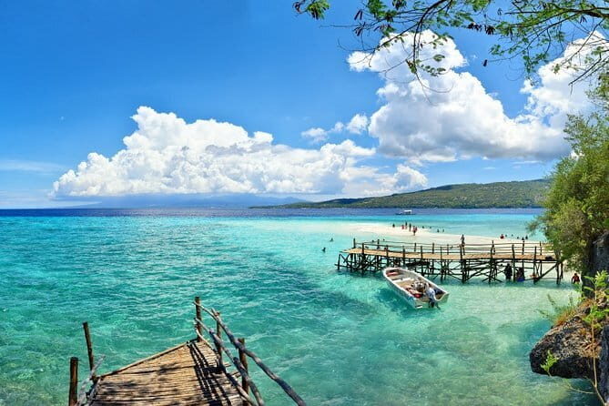 Oslob Whale Shark & Tumalog Waterfalls & Sumilon Sandbar - Price and what $115 covers (and what it doesn’t)