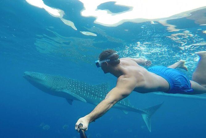 Oslob Whale Shark Watching - Tumalog Falls After the Whale Sharks: Why the Combo Works