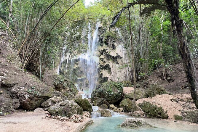 Oslob Whale Shark Watching + Kawasan Falls Day Tour - Animal Welfare: The Concern You Should Actually Think About