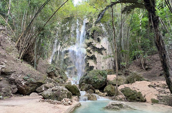 Oslob Whale Shark Watching + Kawasan Falls Day Tour - Kawasan Falls Trek: Lush Jungle Walk, Not Canyoneering