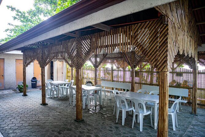 Oslob Whale Sharks and Moalboal Sardine Run, Sea Turtles Tour - The long Cebu day that starts way before sunrise