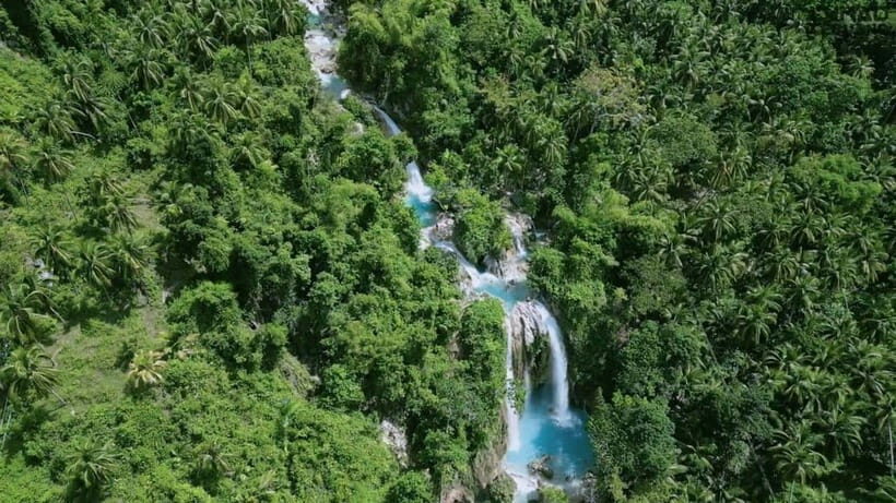 Oslob: Whale Sharks, Inambakan Falls & Moalboal Sardines - The 3:00–4:00 am start (and why you’ll tolerate it)
