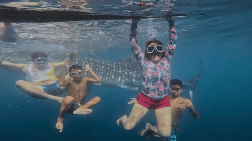 Oslob: Whale Sharks, Tumalog Falls & Sumilon Trio Adventure - Key Highlights Worth Getting Excited About