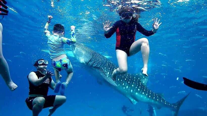 Oslob: Whaleshark Swimming, Inambakan Falls & Moalboal Tour - Oslob Whale Sharks: Priority Numbers and 30 to 45 Minutes of Swim Time