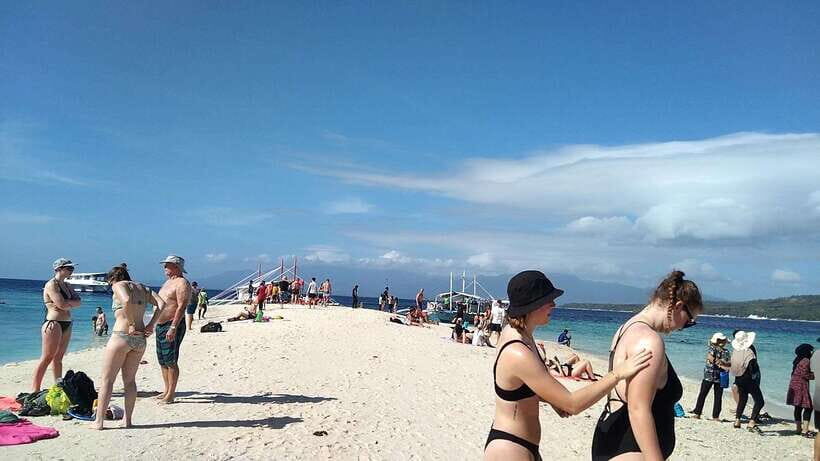 Oslob: Whaleshark Swimming, Tumalog Falls & Sumilon Island - Whale-Shark Swimming in Oslob: The Morning Energy Check