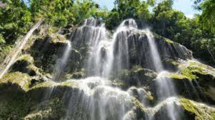 Oslob: Whaleshark Swimming, Tumalog Falls & Sumilon Island - What You’re Really Paying for: The $112 Value Math