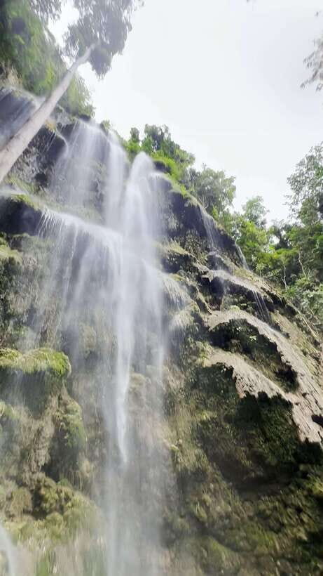 Oslob: Whaleshark Swimming, Tumalog Falls & Sumilon Island - Who Guides You Matters: Organization and the Rey Factor