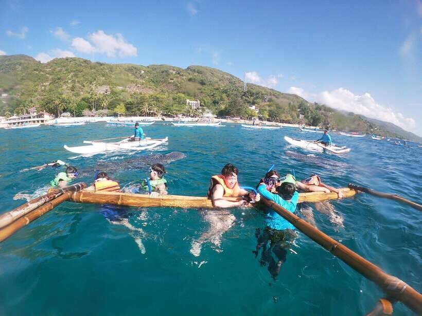 Oslob: Whaleshark Swimming, Tumalog Falls & Sumilon Island - Should You Book This Oslob-Whale-Shark + Falls + Sumilon Tour?