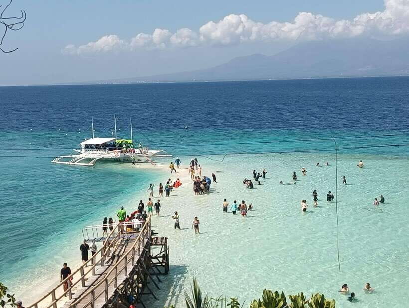 Oslob: Whaleshark Watching, Sumilon Island & Monkey Viewing - Whale Shark Watching in Oslob: The 105-Minute Moment of Truth