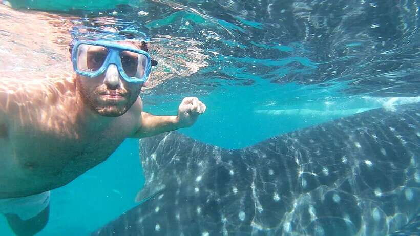 Oslob: Whaleshark Watching, Sumilon Island & Monkey Viewing - Oslob Breaks: Cuartel Stop and Food Time to Reset