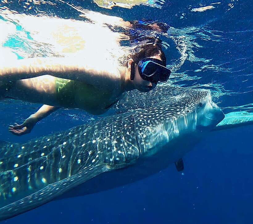 Oslob: Whaleshark Watching, Tumalog Falls & Sumilon Island - 2 AM to Oslob: Why This One-Day Combo Works (Even When It’s Early)