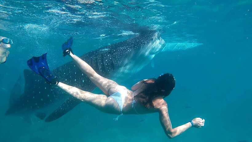 Oslob: Whaleshark Watching, Tumalog Falls & Sumilon Island - Local Lunch and Breaks: The Small Things That Keep a 12–14 Hour Day From Falling Apart