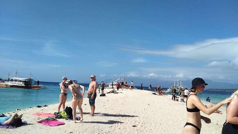 Oslob: Whaleshark Watching, Tumalog Falls & Sumilon Island - Who This Cebu Combo Day Trip Suits Best (And Who Should Skip It)