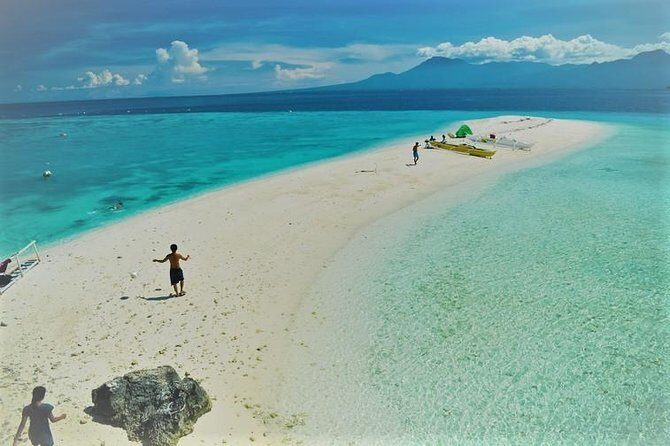 Oslob Whaleshark with Sumilon Island - The 3:00 am start from Cebu is worth it