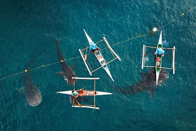 Oslob Whaleshark with Sumilon Island - Tumalog Falls: the quick cool-down with a mini-umbrella cascade