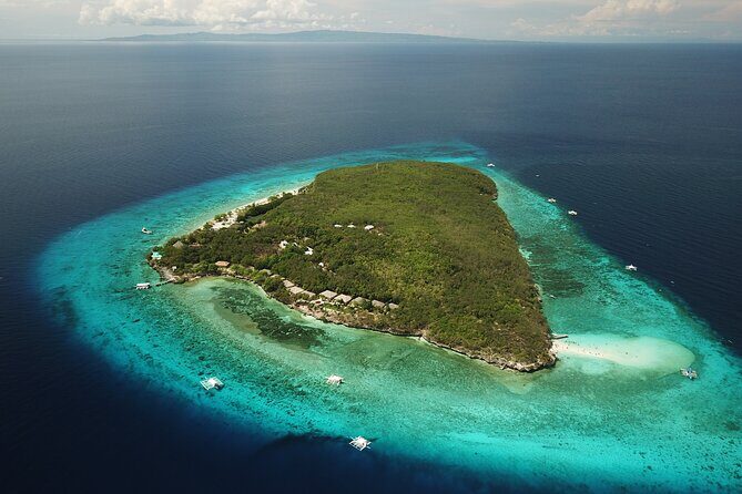 Oslob Whaleshark with Sumilon Island - Should you book the Oslob whale sharks plus Sumilon day?