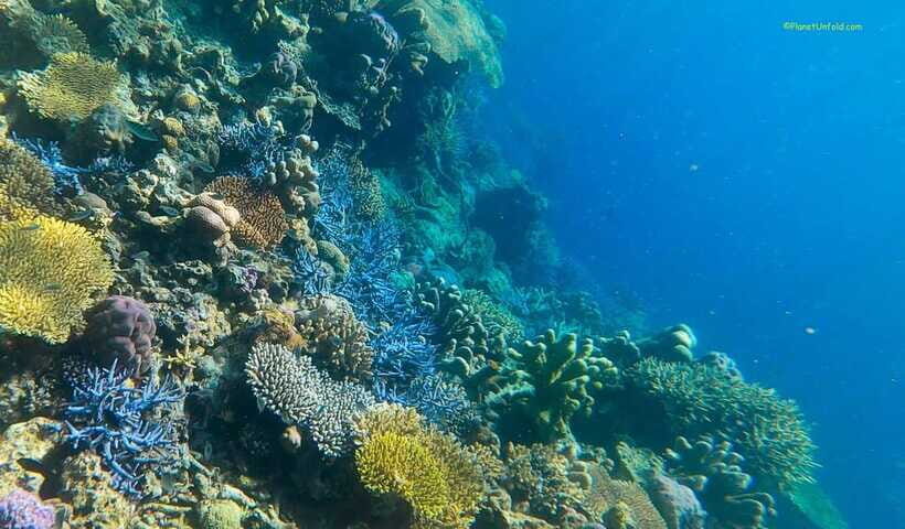 Palawan: Coron Island Super Ultimate Private Tour - Twin Lagoons and Sunset Beach: Cliffs, Color, and Calm Swim Time