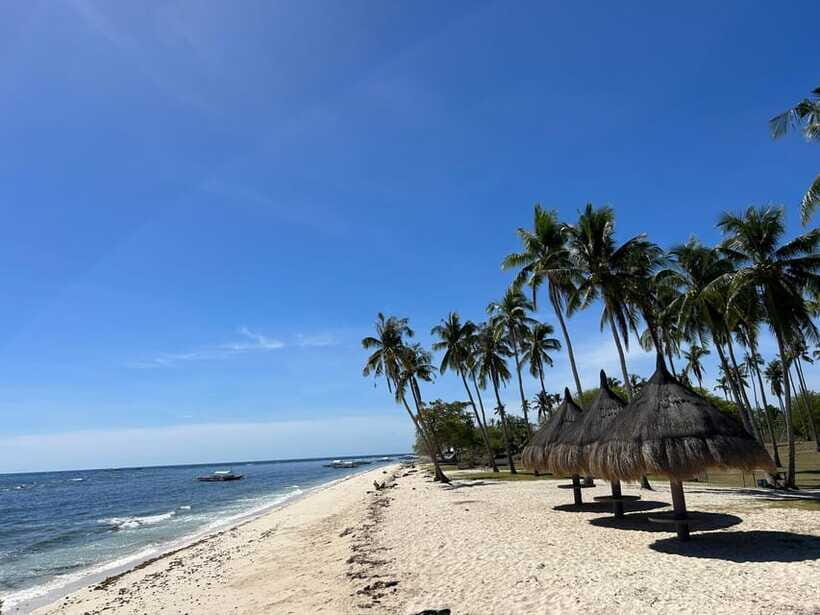 Pamilacan island: Dolphins, snorkel, lunch and walking tour - The Walking Portion That’s More Than a Stretch Break