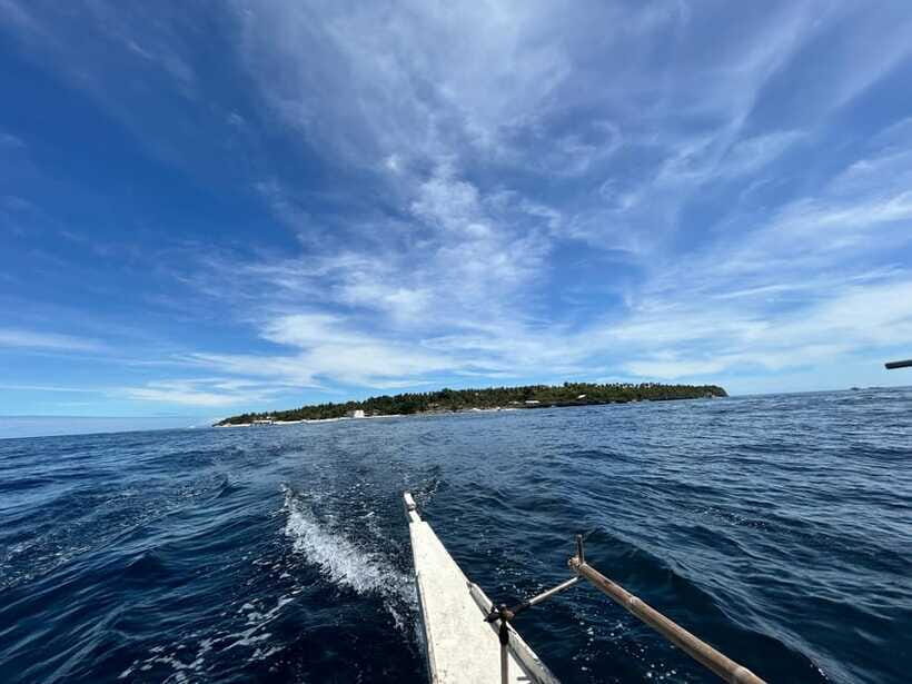 Pamilacan island: Dolphins, snorkel, lunch and walking tour - Price and Value: What 139 Per Person Really Buys