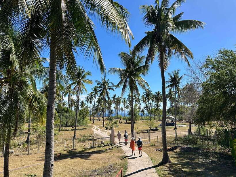 Pamilacan island: Dolphins, snorkel, lunch and walking tour - Who Should Book This Pamilacan Island Tour
