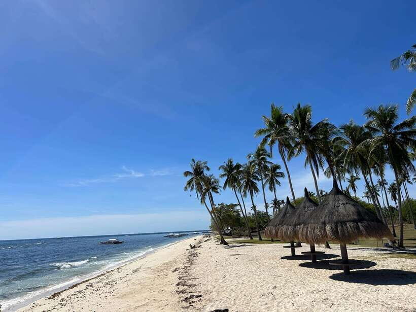 Pamilacan island: Dolphins, snorkel, lunch and walking tour - Panglao Pickup, Tuk-tuk Transfer, and the Speedboat Timing