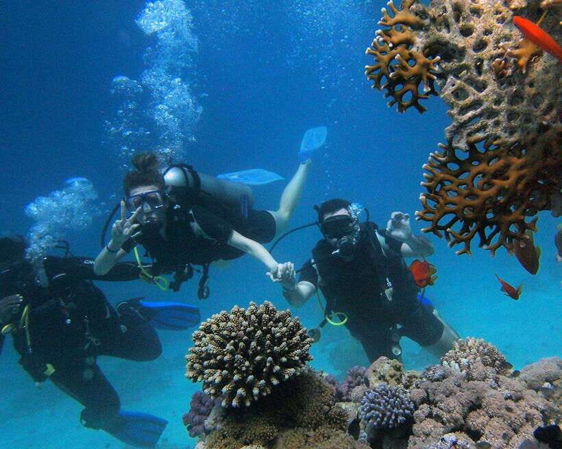Panglao Bohol: Try Scuba Diving at Napaling and Sardines - Quick highlights before you go